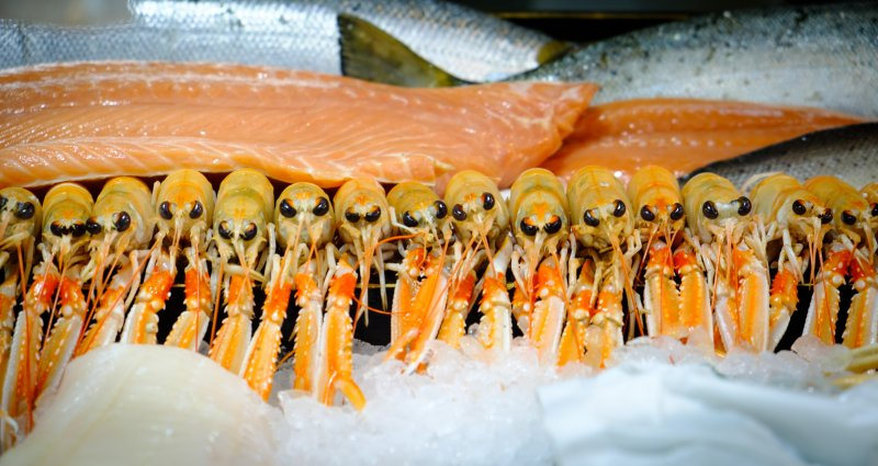 8 Exotic Foods That You Can Experience Abroad